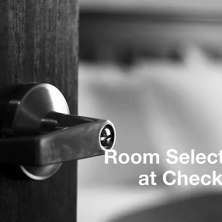 Hotel Albion Firenze